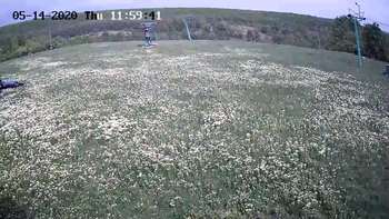 Харків 14 травня 2020 року, 2020-05-14 13:00