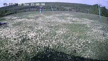 Харків 17 травня 2020 року, 2020-05-17 16:00