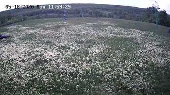 Харків 18 травня 2020 року, 2020-05-18 13:00