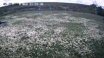 Харків 20 травня 2020 року, 2020-05-20 13:00