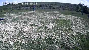 Харків 21 травня 2020 року, 2020-05-21 10:00