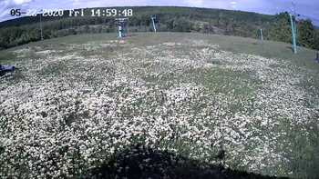 Харків 22 травня 2020 року, 2020-05-22 16:00