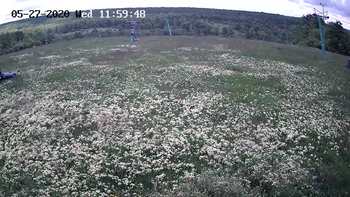 Харків 27 травня 2020 року, 2020-05-27 13:00