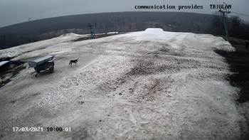 Харків 17 березня 2021 року, 2021-03-17 10:00