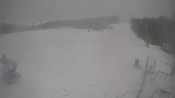 Буковиця 8 січня 2020 року, 2020-01-08 10:00