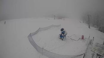 Буковиця 20 січня 2020 року, 2020-01-20 13:00