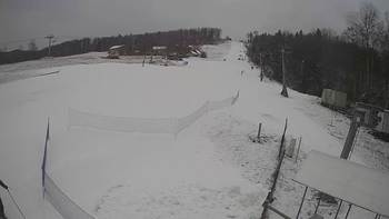 Буковиця 8 січня 2021 року, 2021-01-08 10:00