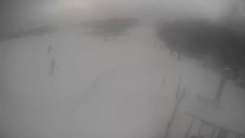 Буковиця 19 січня 2021 року, 2021-01-19 16:00