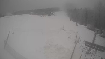 Буковиця 1 лютого 2021 року, 2021-02-01 10:00