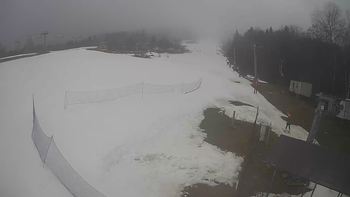 Буковиця 1 березня 2021 року, 2021-03-01 13:00