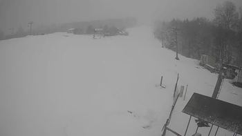 Буковиця 6 квітня 2021 року, 2021-04-06 13:00