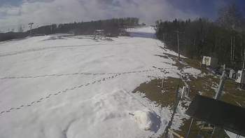 Буковиця 8 квітня 2021 року, 2021-04-08 10:00