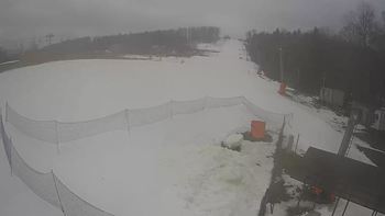 Буковиця 1 січня 2022 року, 2022-01-01 10:00