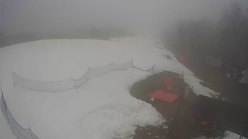 Буковиця 5 січня 2022 року, 2022-01-05 10:00
