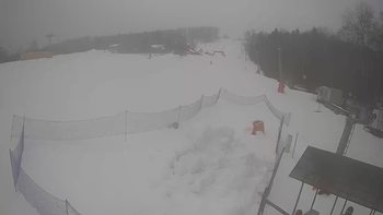Буковиця 28 січня 2022 року, 2022-01-28 10:00