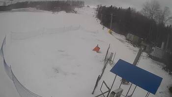 Буковиця 24 січня 2024 року, 2024-01-24 13:00