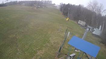 Буковиця 8 березня 2024 року, 2024-03-08 13:00
