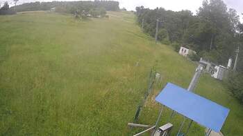 Буковиця 8 червня 2024 року, 2024-06-08 10:00