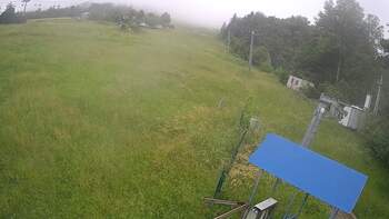 Буковиця 9 червня 2024 року, 2024-06-09 13:00