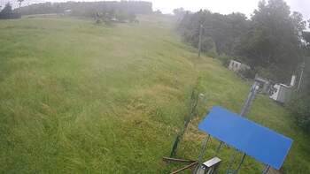 Буковиця 11 червня 2024 року, 2024-06-11 16:00