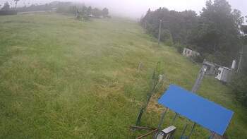 Буковиця 13 червня 2024 року, 2024-06-13 10:00
