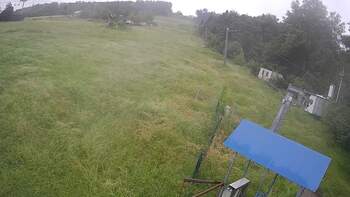 Буковиця 14 червня 2024 року, 2024-06-14 10:00
