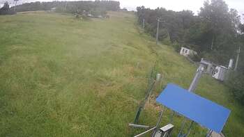 Буковиця 14 червня 2024 року, 2024-06-14 16:00