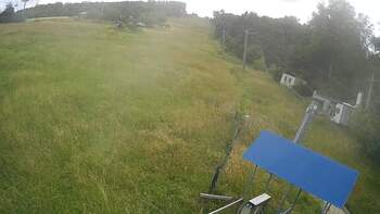 Буковиця 24 червня 2024 року, 2024-06-24 16:00