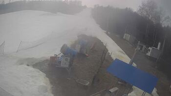 Буковиця 11 березня 2025 року, 2025-03-11 13:00