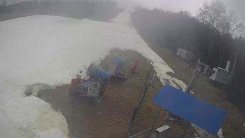 Буковиця 13 березня 2025 року, 2025-03-13 10:00