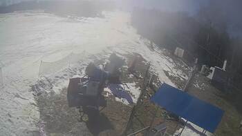 Буковиця 21 березня 2025 року, 2025-03-21 13:00