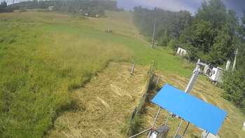 Bukowica 1 sierpień 2025 rok, 2025-08-01 10:00