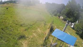 Bukowica 12 sierpień 2025 rok, 2025-08-12 13:00