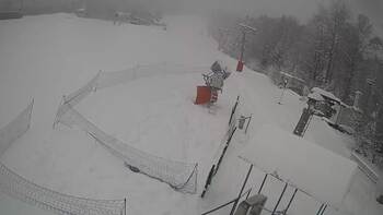 Буковиця 8 січня 2026 року, 2026-01-08 10:00