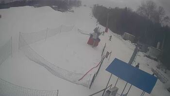 Буковиця 26 січня 2026 року, 2026-01-26 16:00