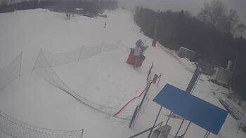 Буковиця 27 січня 2026 року, 2026-01-27 10:00