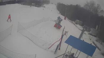 Буковиця 28 січня 2026 року, 2026-01-28 16:00