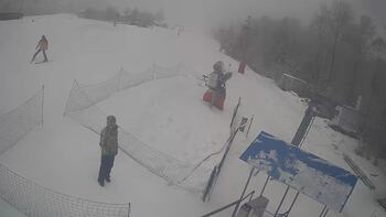 Буковиця 29 січня 2026 року, 2026-01-29 13:00