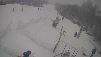 Bukovytsia 31 january 2026 year 13:00