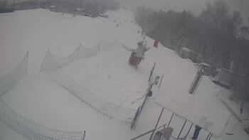 Bukovytsia 31 january 2026 year 16:00