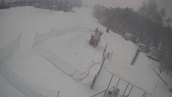 Буковиця 3 лютого 2026 року 10:00