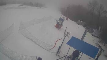 Буковиця 7 лютого 2026 року, 2026-02-07 10:00