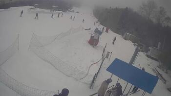 Буковиця 8 лютого 2026 року, 2026-02-08 16:00