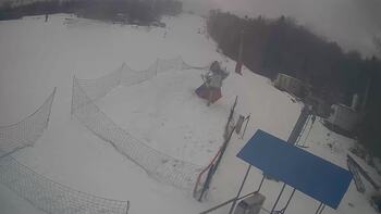 Буковиця 19 лютого 2026 року, 2026-02-19 13:00