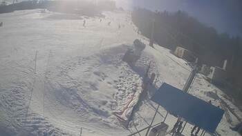 Буковиця 21 лютого 2026 року, 2026-02-21 13:00