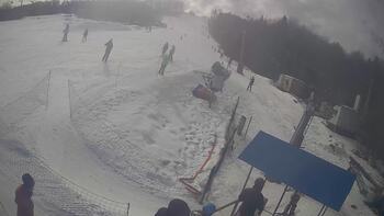 Буковиця 22 лютого 2026 року, 2026-02-22 13:00