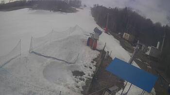 Буковиця 8 березня 2026 року, 2026-03-08 10:00