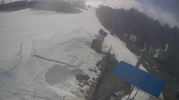 Буковиця 8 березня 2026 року, 2026-03-08 13:00