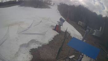 Буковиця 13 березня 2026 року, 2026-03-13 13:00