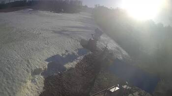 Буковиця 14 березня 2026 року, 2026-03-14 16:00